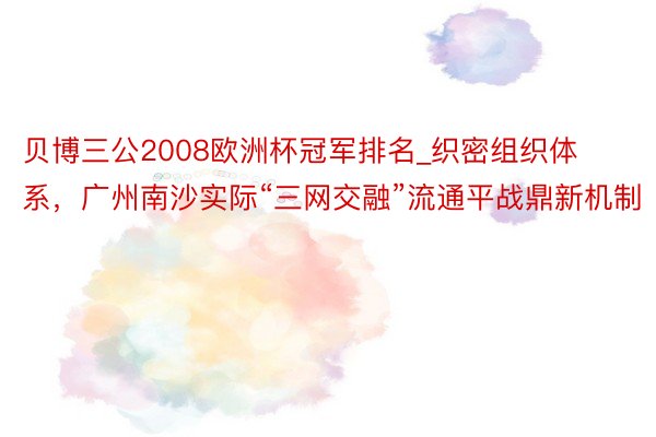 贝博三公2008欧洲杯冠军排名_织密组织体系，广州南沙实际“三网交融”流通平战鼎新机制